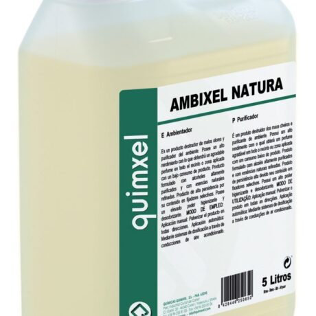 AMBIENTADOR 4X5L